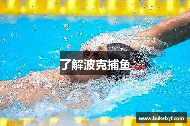 了解波克捕鱼